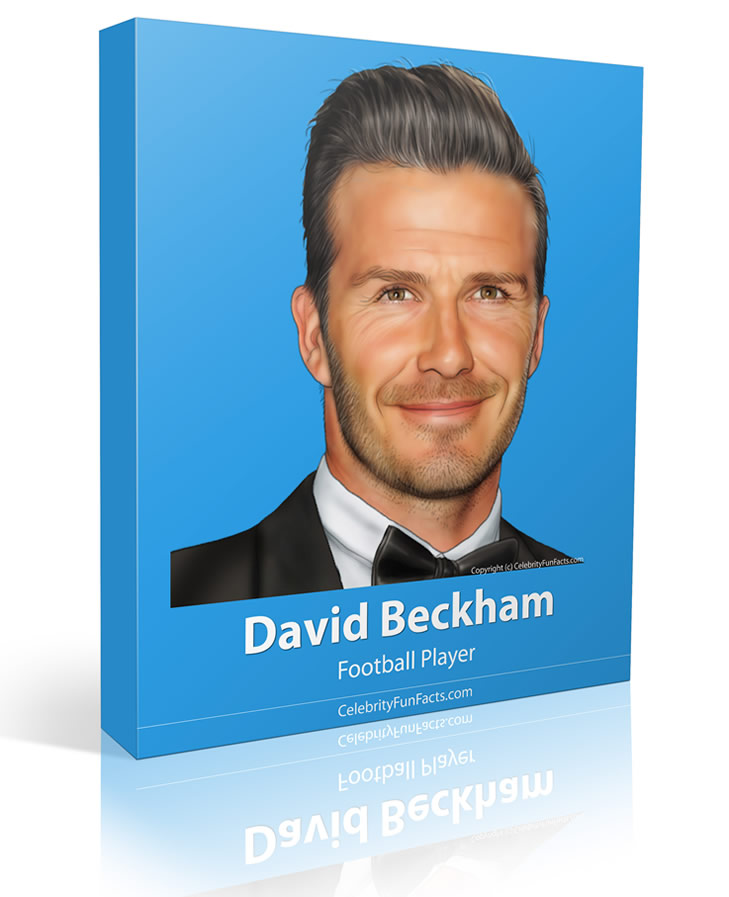 David Beckham - Large - Celebrity Fun Facts