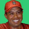 Tiger Woods Facts - Biography